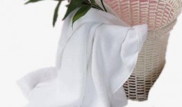 花篮网爆料最新网站下载,最新网站下载背后的秘密与趋势